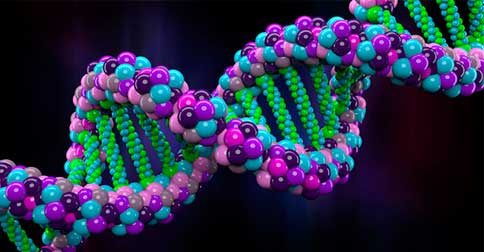 Você sabia que seu DNA é programável ?