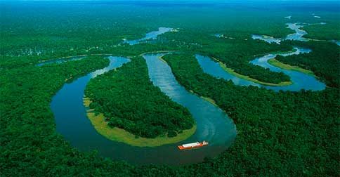 A Amazônia, está realmente grávida do meu Corpo de Luz, que logo surgirá